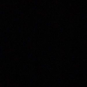 Meet your Posher, Roy